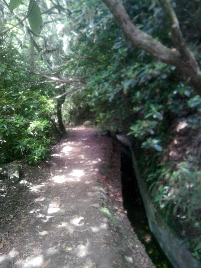 Cc39- Q5 * Funchal (Madeira)