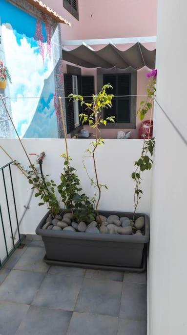 Ilha Bonita Holiday home