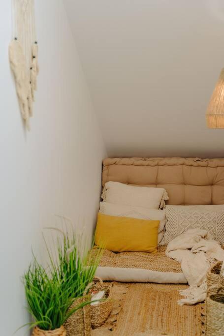 Super Oldtown Apartment Funchal (Madeira)