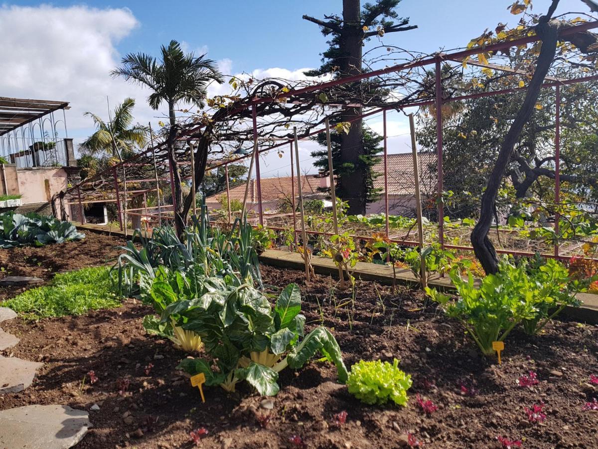 Quinta Do Bom Sucesso Apartament *