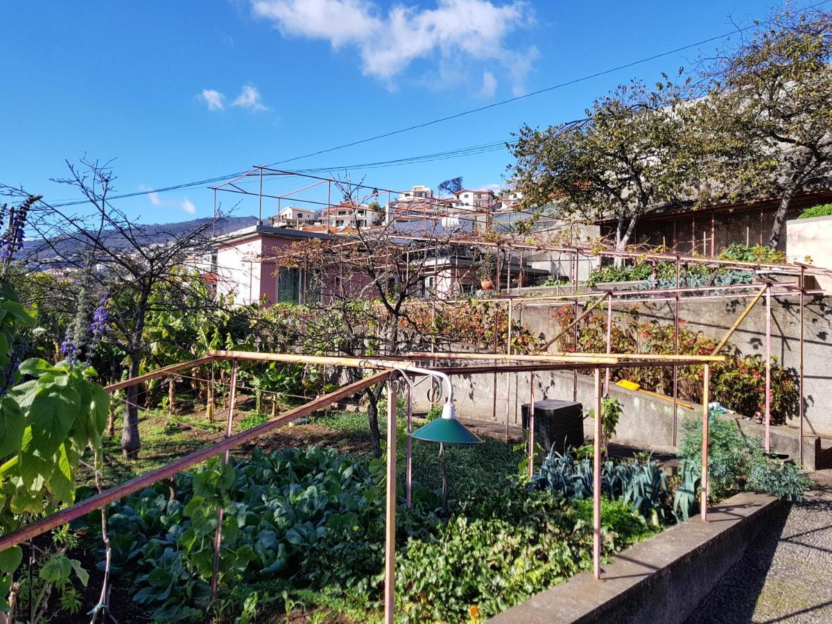 Quinta Do Bom Sucesso Apartament *