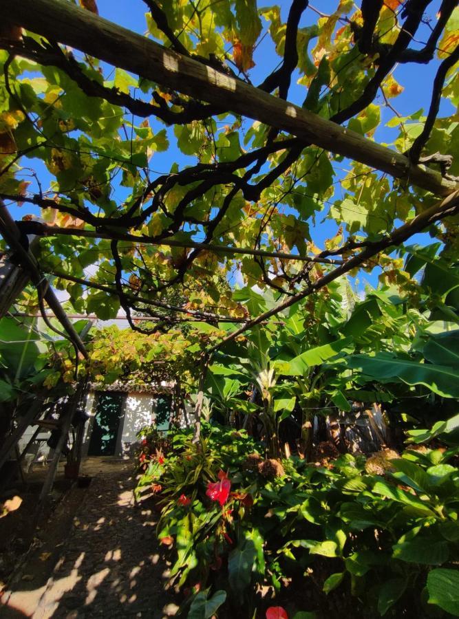 Quinta Sao Goncalo *