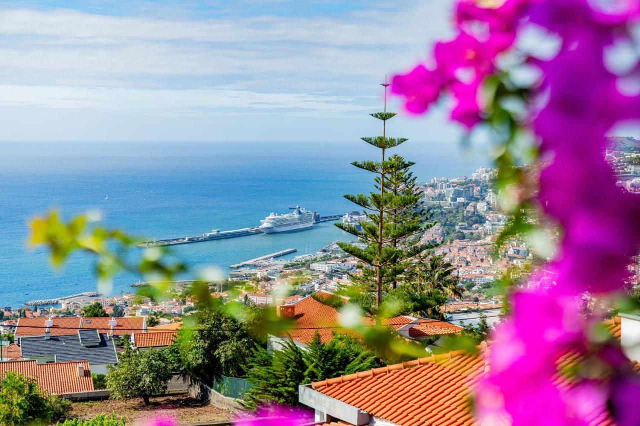 Ana's Place Apartment Funchal (Madeira)