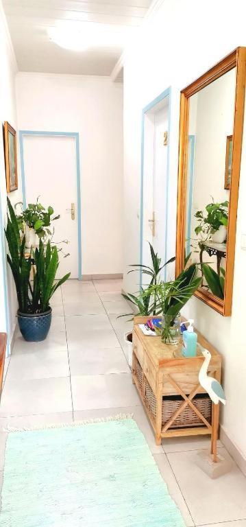 Nhà khách & Flower - Private Bedrooms Funchal (Madeira)