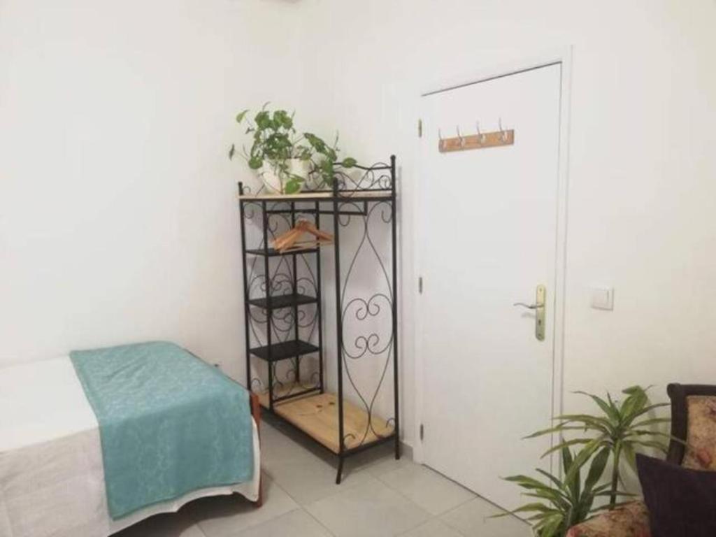 Nhà khách & Flower - Private Bedrooms Funchal (Madeira)