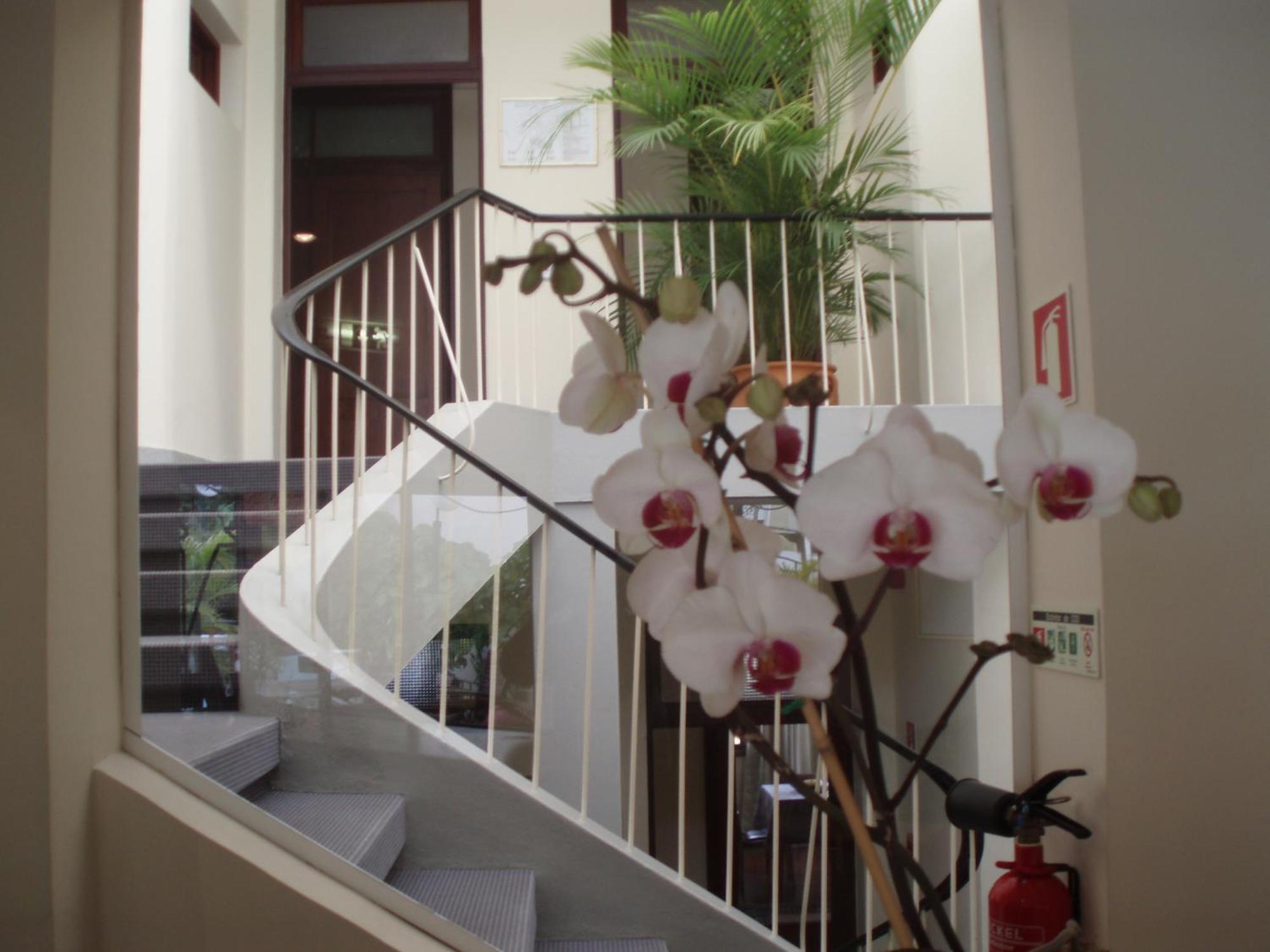 Casa de hóspedes Residencial Do Vale Funchal (Madeira)