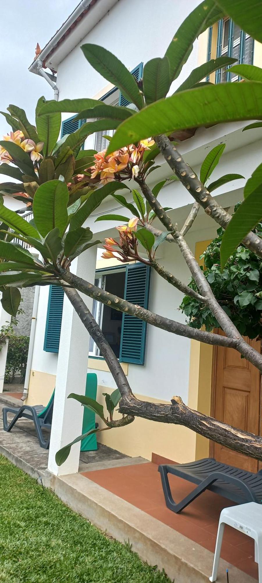 Case de vacanță Cosy Nook Funchal (Madeira)