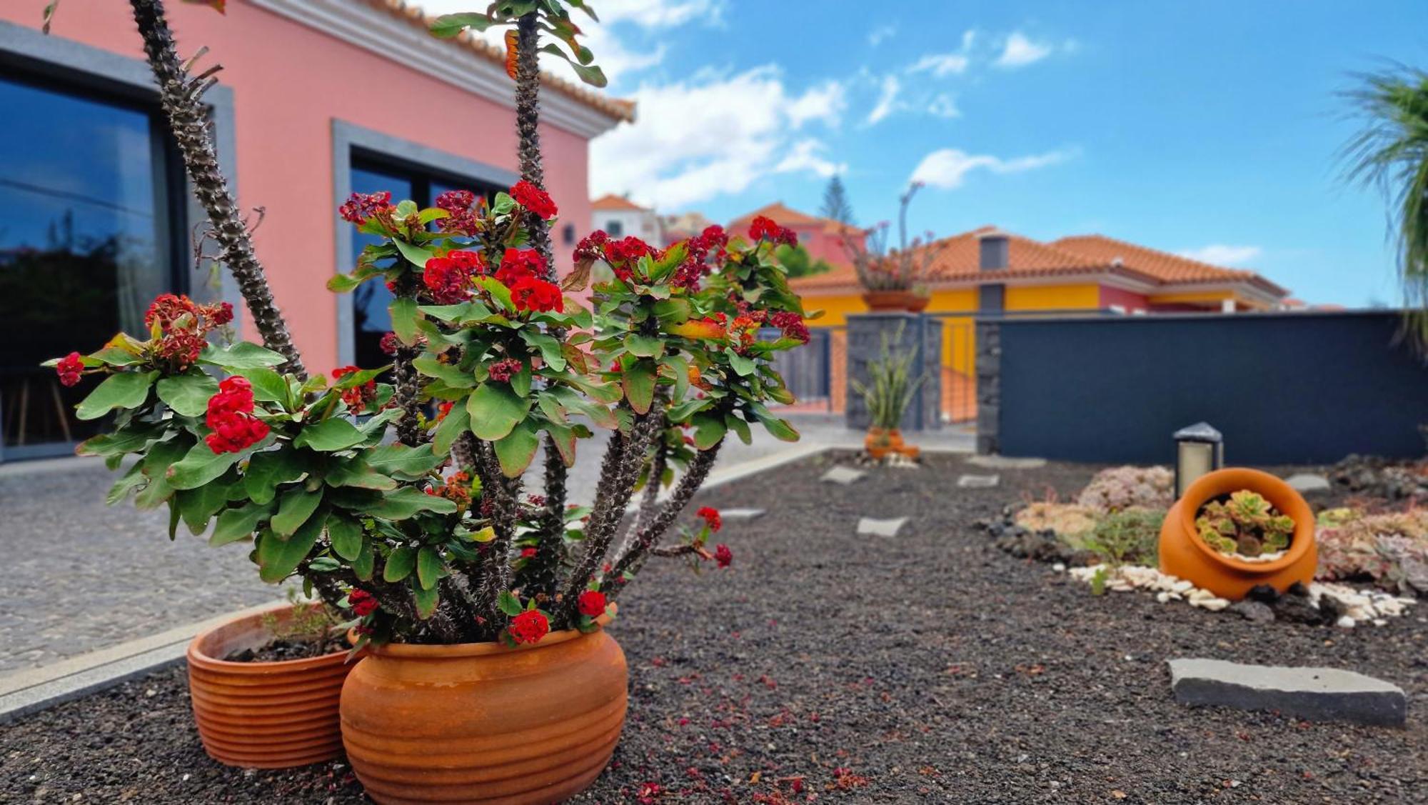Mon Reve Portugais By Lovelystay Holiday home *