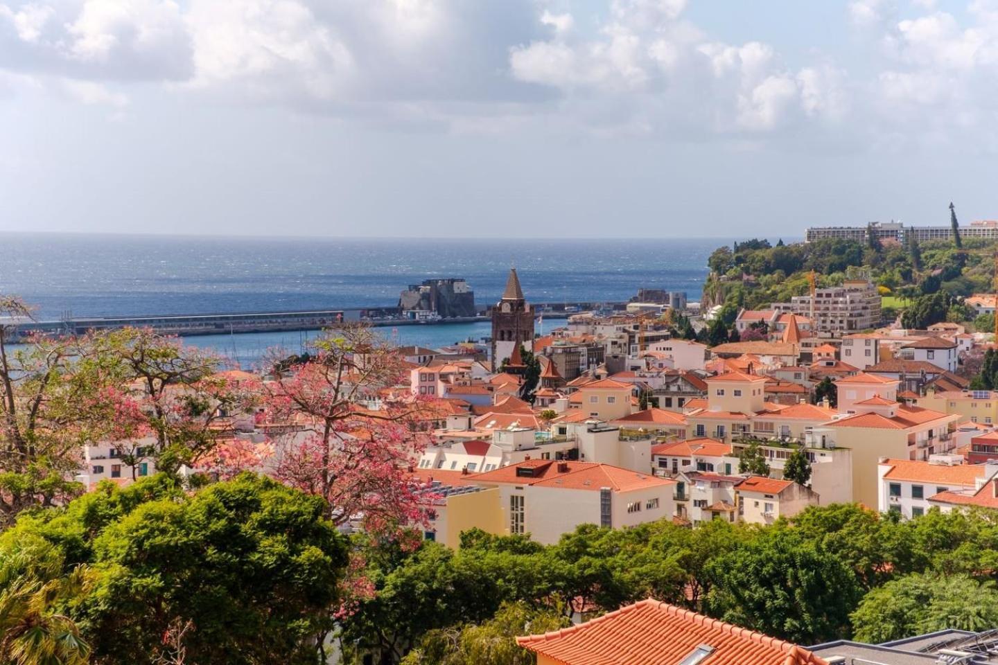 Varandas Funchal-near Center Apartment