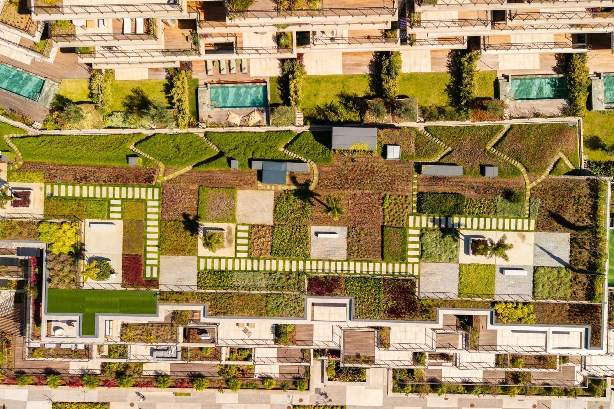 Apartment Savoy Monumentalis I By Madeira Dream