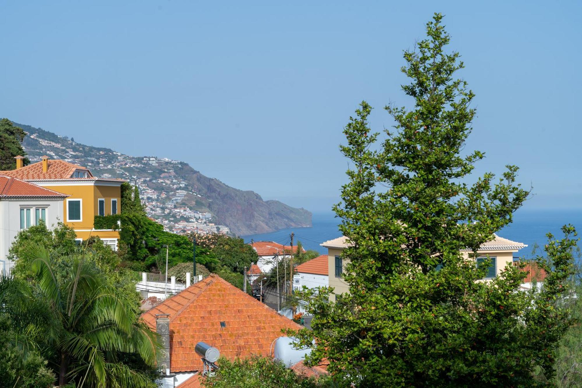 Rosas Vista Baia Do Funchal (Madeira)