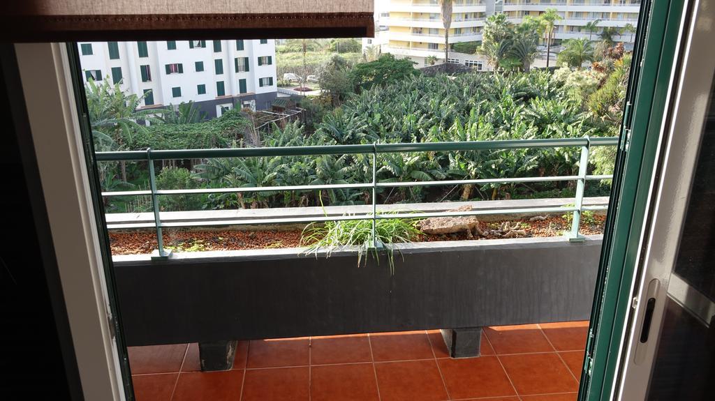 Musa Ajuda Ii Funchal *
