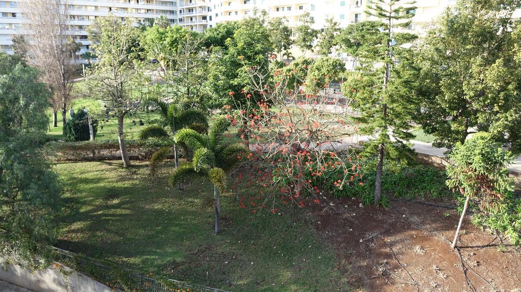 Apartament Musa Ajuda Ii Funchal
