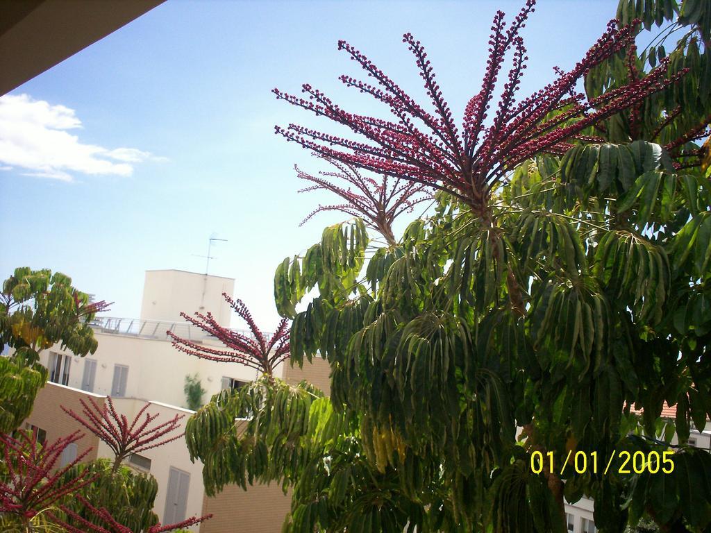 Apartment Lido - Casa Branca