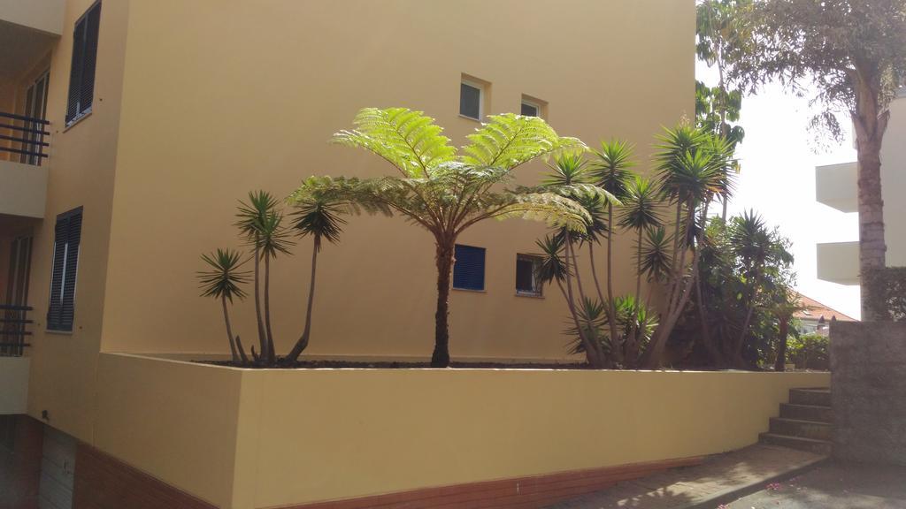 Apartment Lido - Casa Branca Funchal (Madeira)