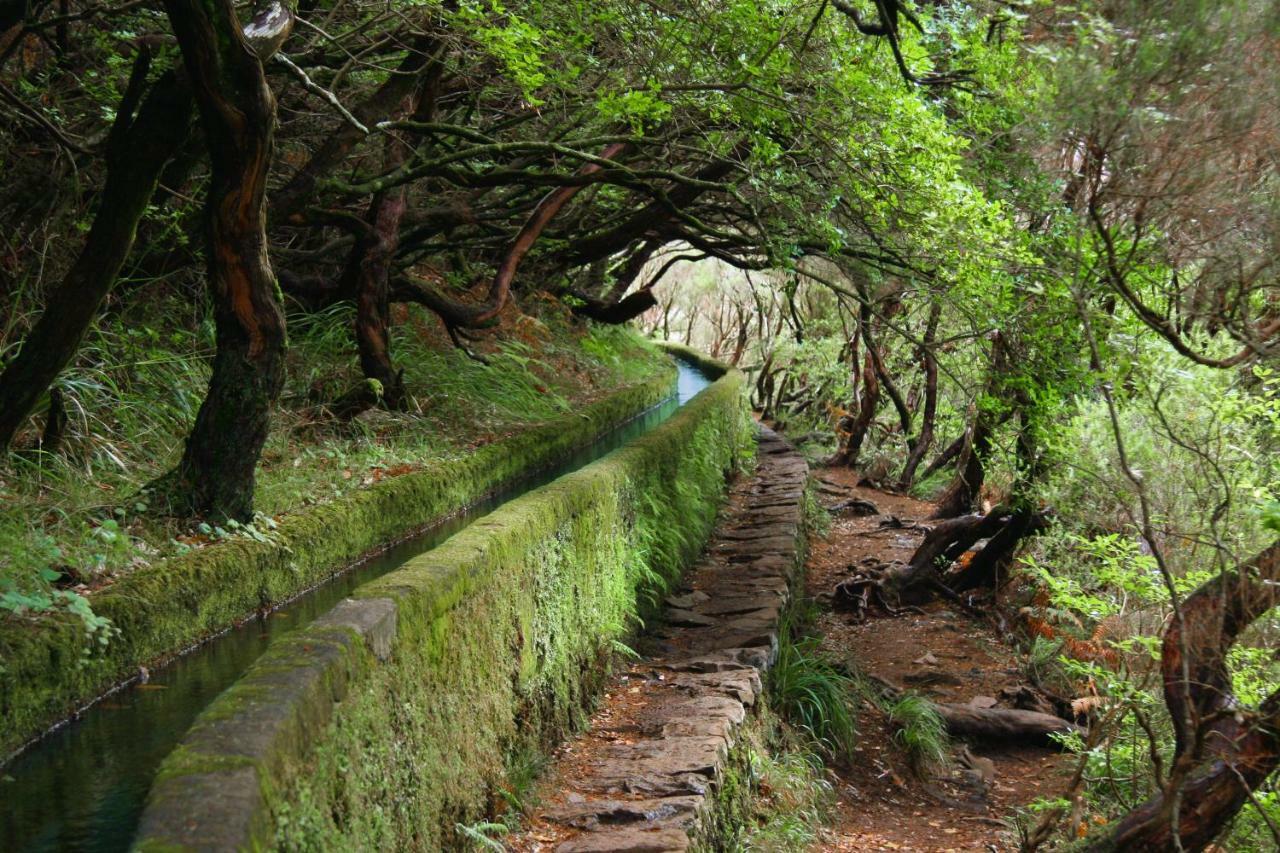 In 2n * Funchal (Madeira)