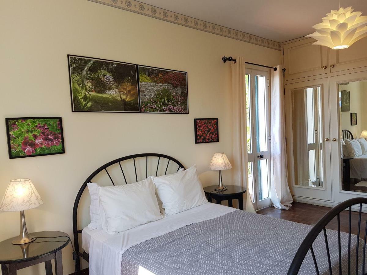 Cosy Nook * Funchal (Madeira)