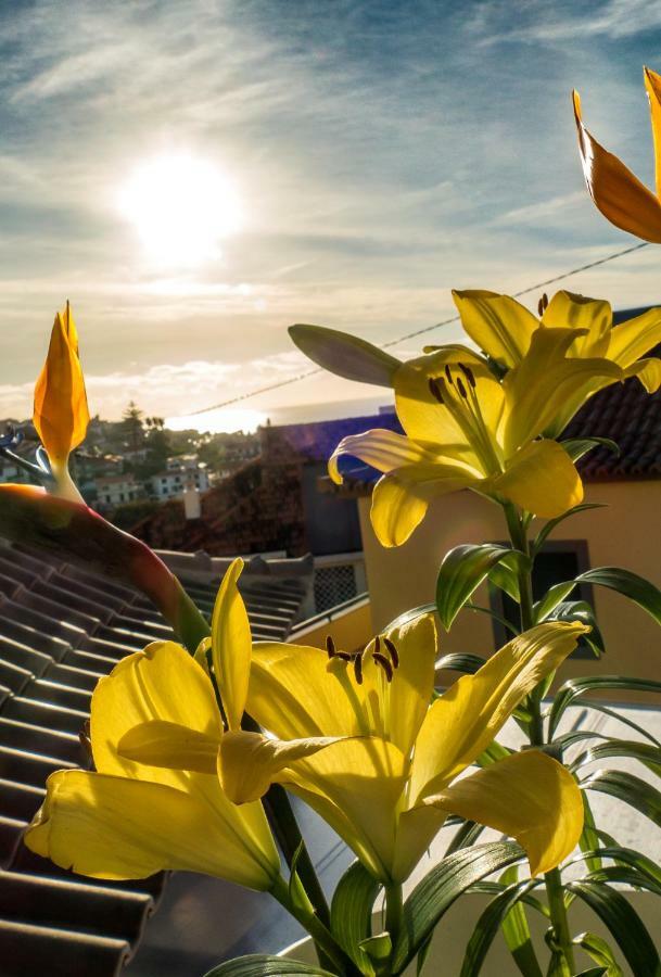 Little Townhouse Ferienhaus Funchal (Madeira)