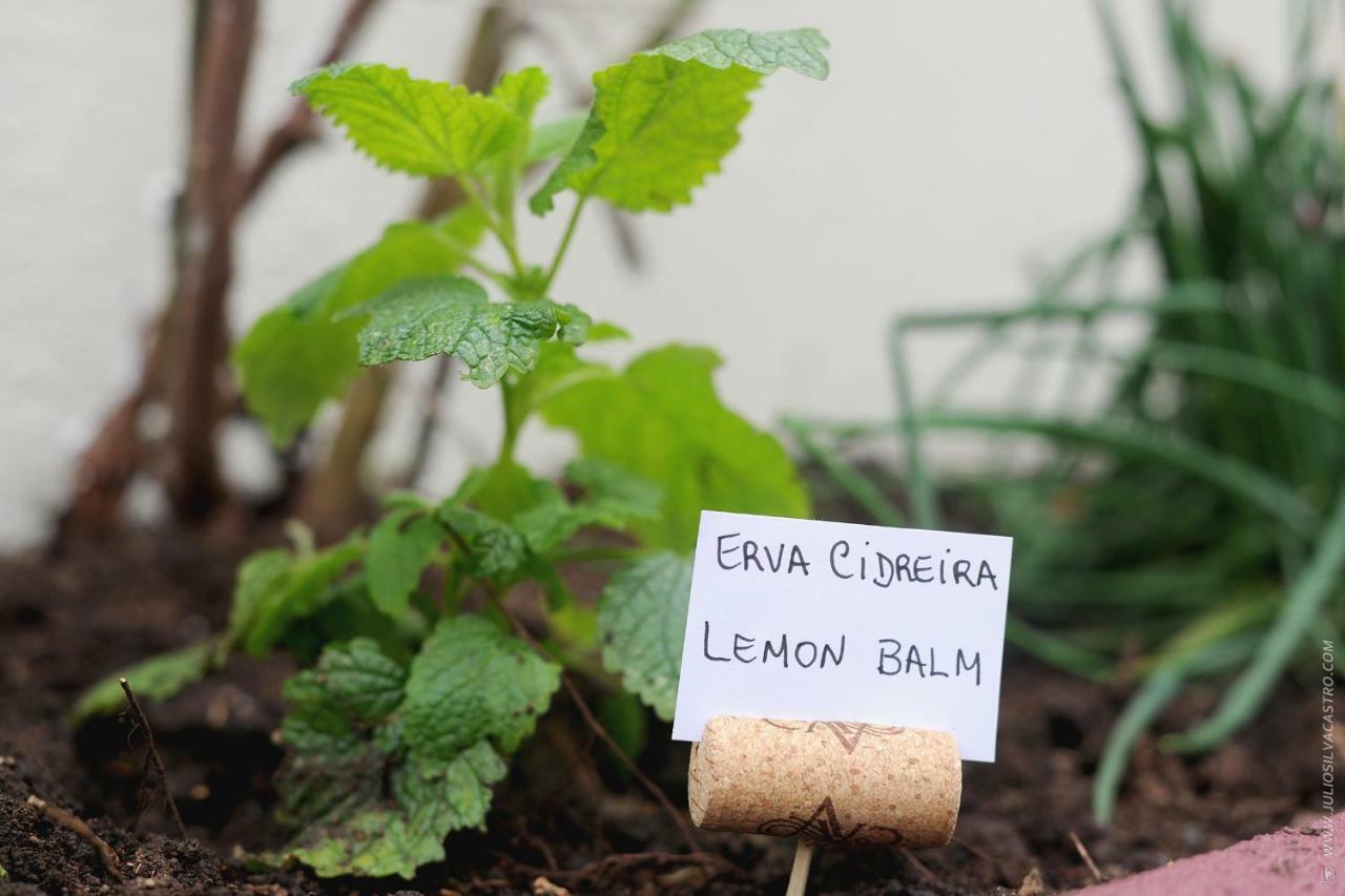 Quinta Do Faial Căn hộ