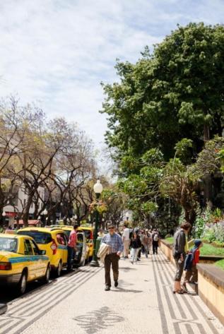 - Garden - Free Parking & Ac Funchal (Madeira)