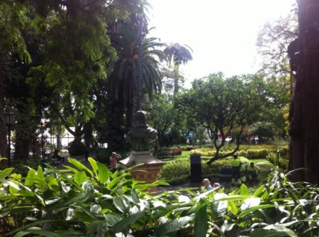 - Garden - Free Parking & Ac * Funchal (Madeira)