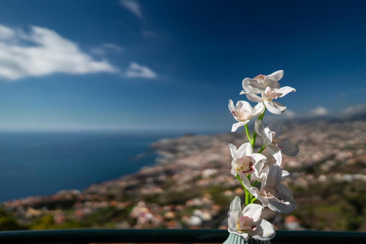 Apartment Atlantic Ocean With Pool Funchal (Madeira)